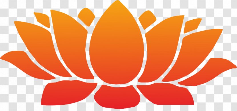 Nelumbo Nucifera Bodhisattva Buddhism - Flower - Buddha Lotus Seat Vector Transparent PNG