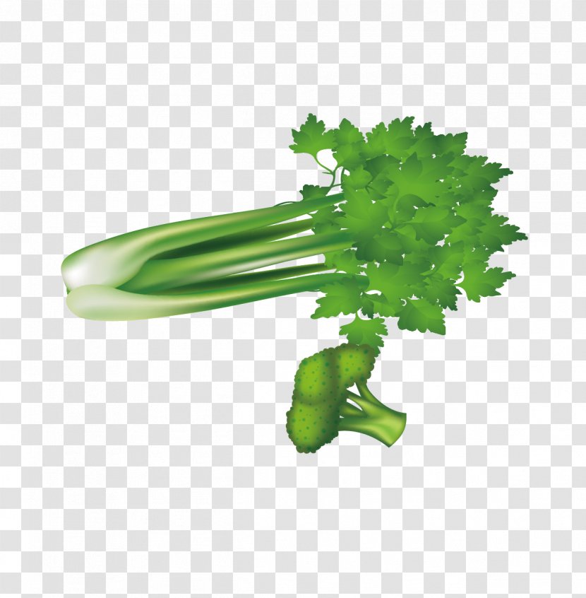 Leaf Vegetable Broccoli Celery U7dd1u9ec4u8272u91ceu83dc - Tree - Green Vegetables, And Transparent PNG