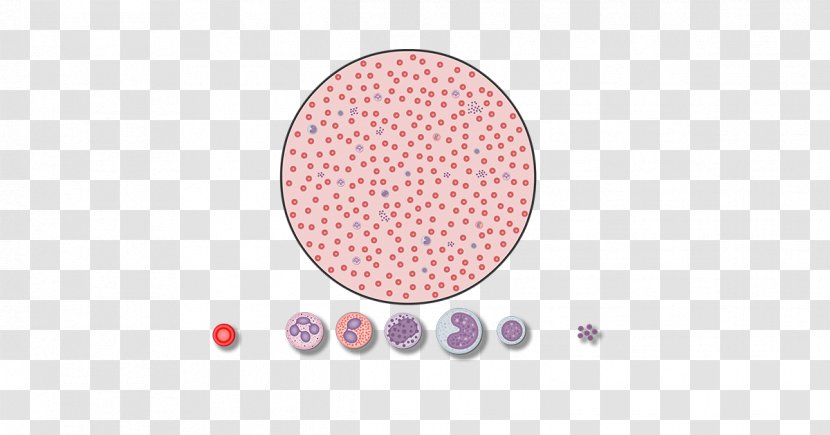 Carpet Red Blood Cell Tufting Bedroom - Cells Transparent PNG