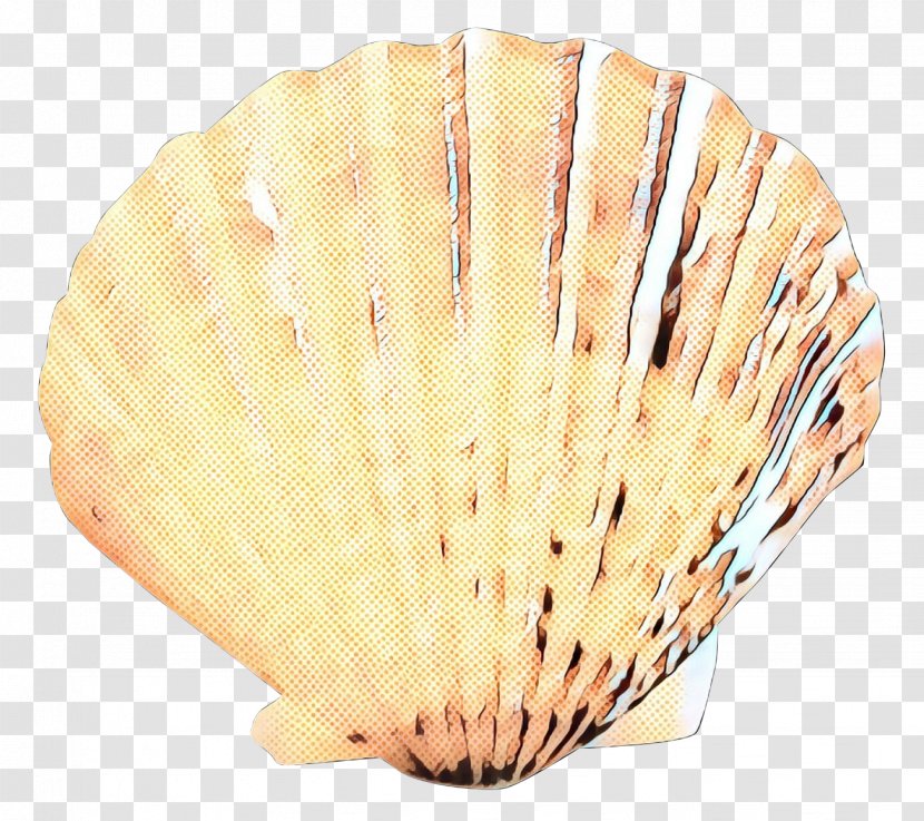 Cockle Shell - Scallop - Hand Fan Shellfish Transparent PNG