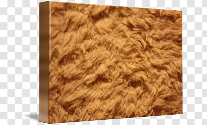Plywood - Sheepskin Transparent PNG