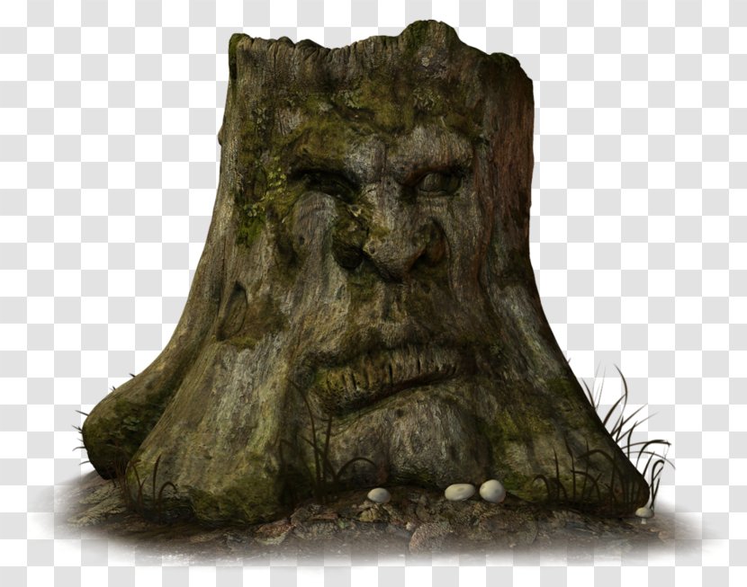 Drawing Tree Stump Skunk House - Trunk Transparent PNG