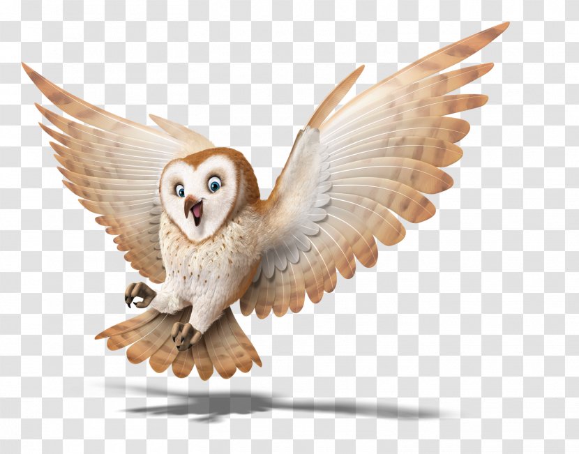 Vacation Bible School Cave Owl Child - Bird Transparent PNG