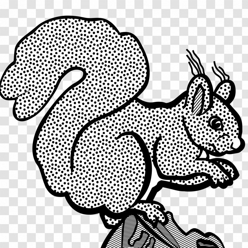 Line Art Squirrel Coloring Book Clip - Public Domain Transparent PNG