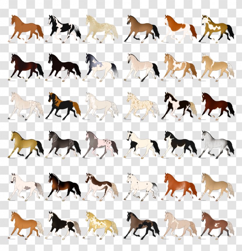 Deer Mustang Antelope Mammal Animal Migration - Wildlife Transparent PNG