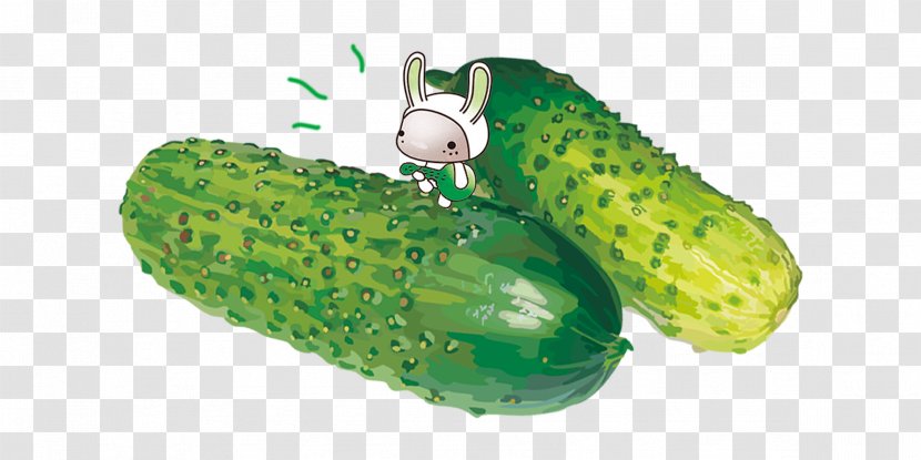 Pickled Cucumber Pepino - Food - Fresh Transparent PNG