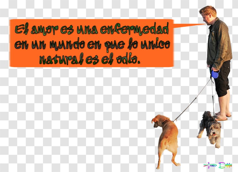 Dog Walking Clip Art - Photo Caption Transparent PNG