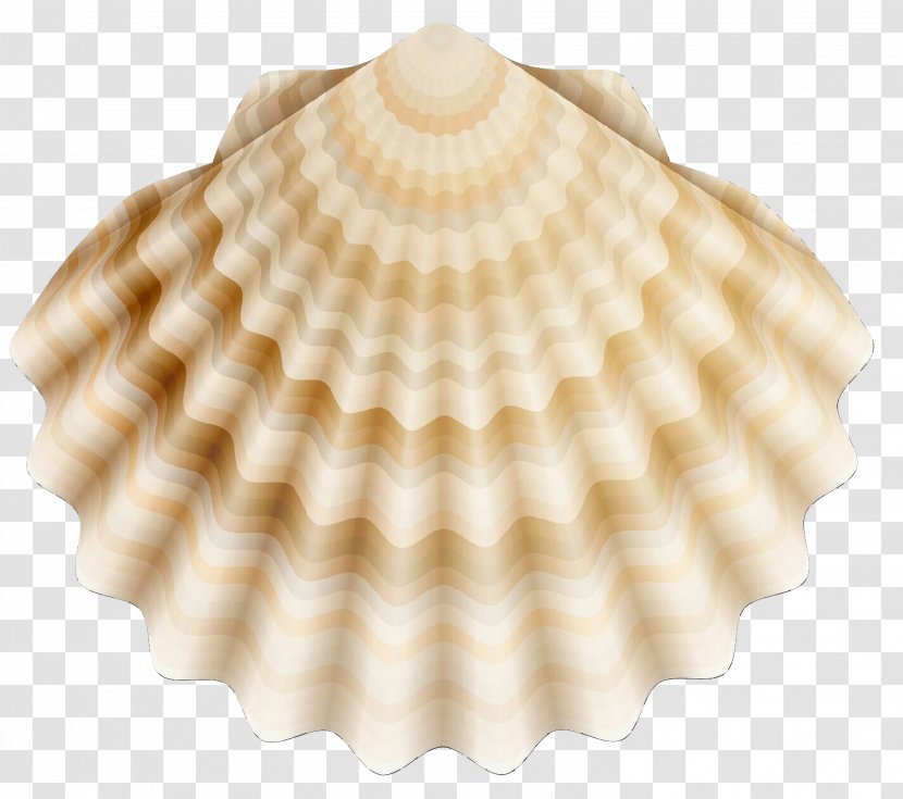 Clip Art Seashell Clam Cockle - Oyster Transparent PNG
