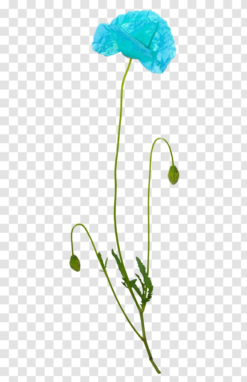 Petal Flower Graphic Design Clip Art Transparent PNG