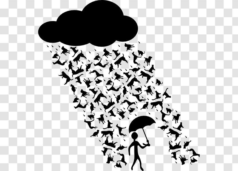 Cats & Dogs Mouse Rain - Monochrome Photography - And Transparent PNG