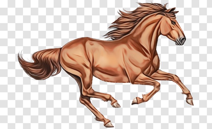 Horse Animal Figure Sorrel Stallion Mare - Mane - Fictional Character Mustang Transparent PNG