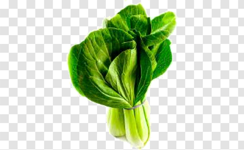Leaf Vegetable Green Plant Leaf Vegetable Transparent PNG