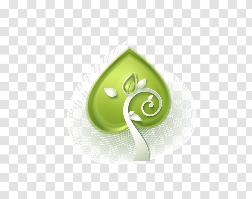 Leaf - Product Design - Drawing Transparent PNG