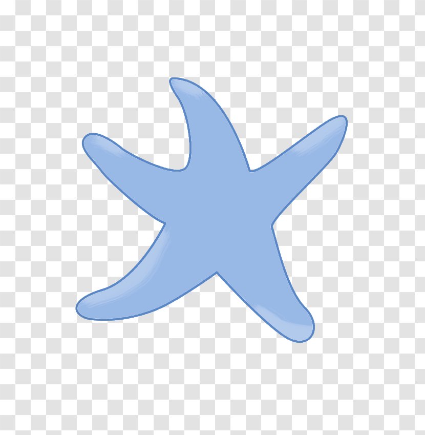 Starfish Echinoderm Marine Biology Font - Wing - Blue Five-pointed Star Transparent PNG