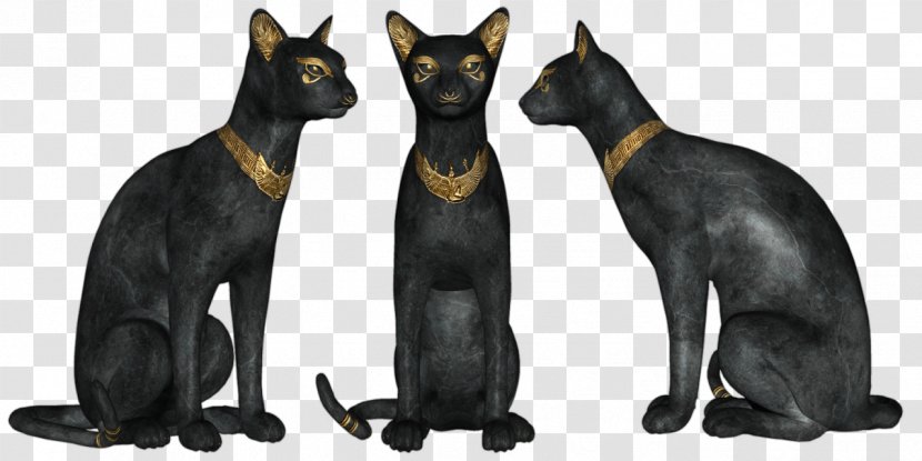 Bombay Cat Havana Brown Black Domestic Short-haired Clip Art - Short Haired - Egypt Transparent PNG
