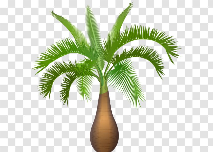 Arecaceae Tree Clip Art - Royaltyfree - Palm Border Transparent PNG