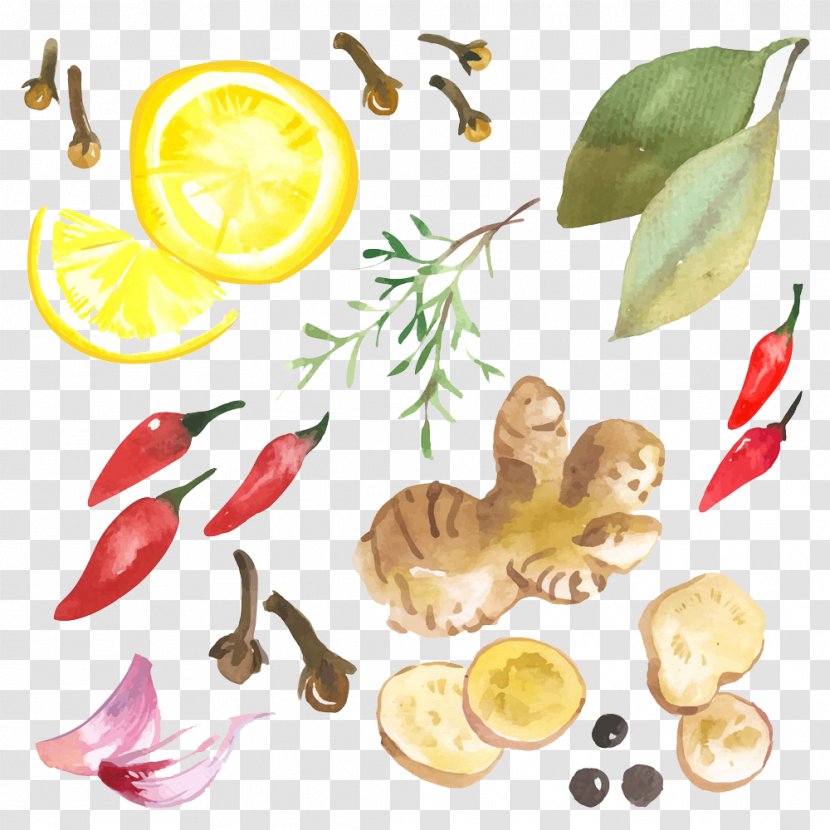 Ginger Thai Cuisine Illustration - Spice - Fresh Fruits And Vegetables Image Transparent PNG