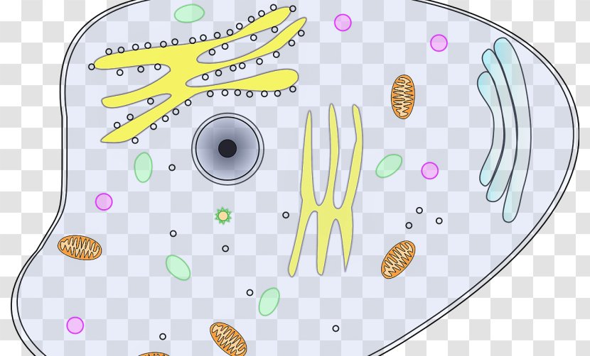 Cell Theory Plant Cèl·lula Animal Clip Art - Flower - COCODRILO Transparent PNG