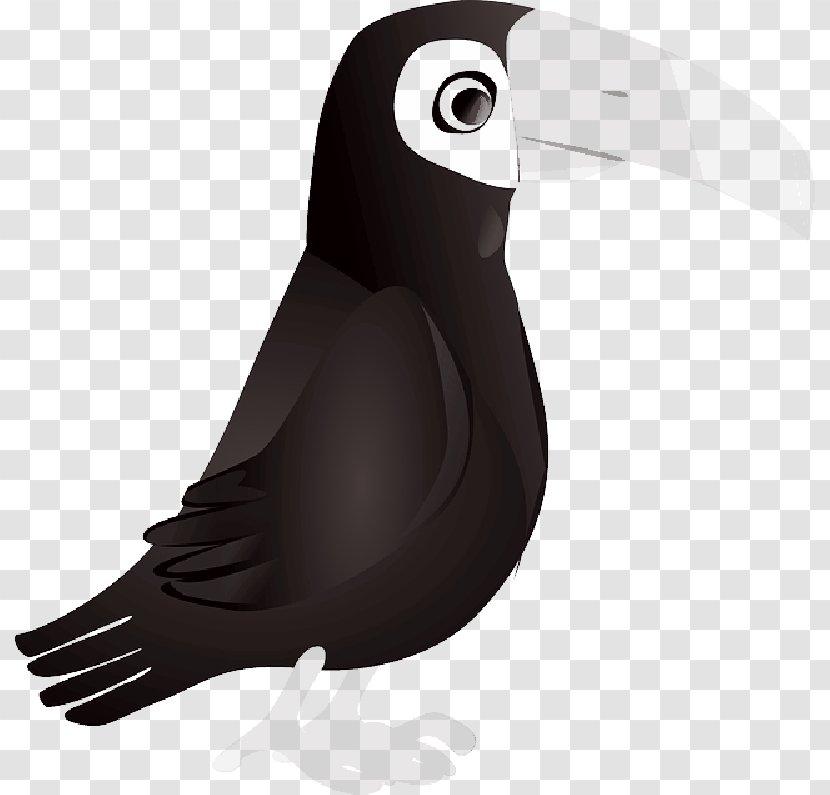 Bird Clip Art Beak White-throated Toucan Keel-billed - Whitethroated Transparent PNG