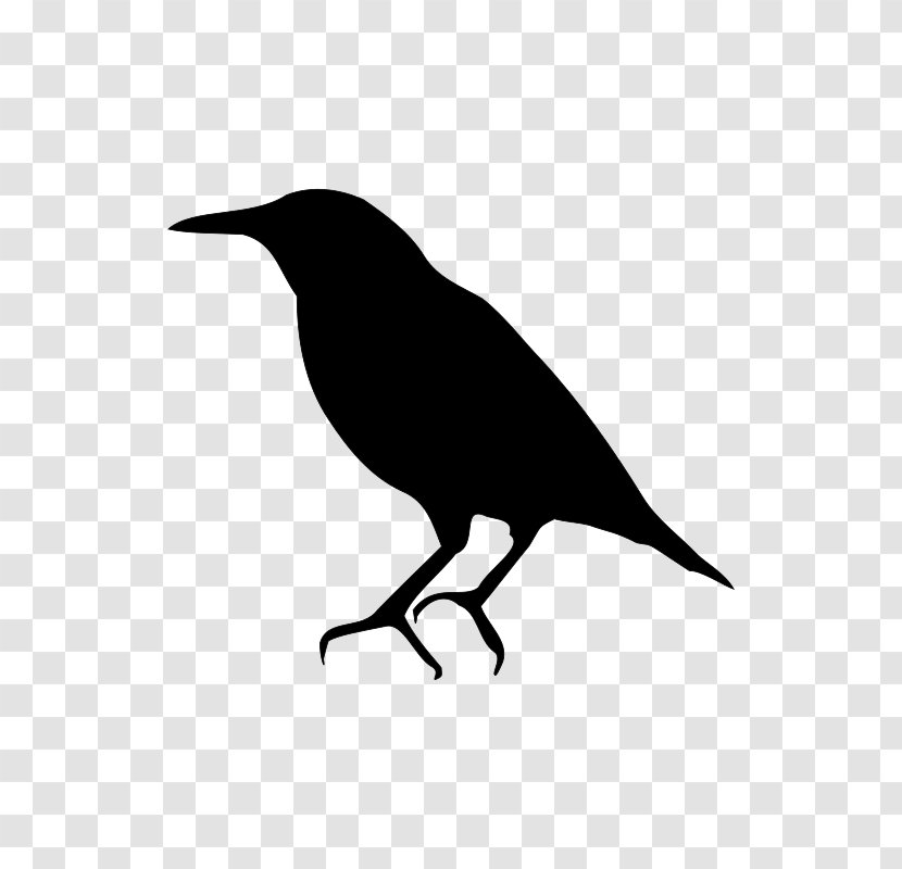 Bird Silhouette - Crowlike - Songbird Transparent PNG