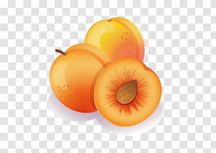 Apricot Fruit Peach Clip Art - Natural Foods - Vector Transparent PNG