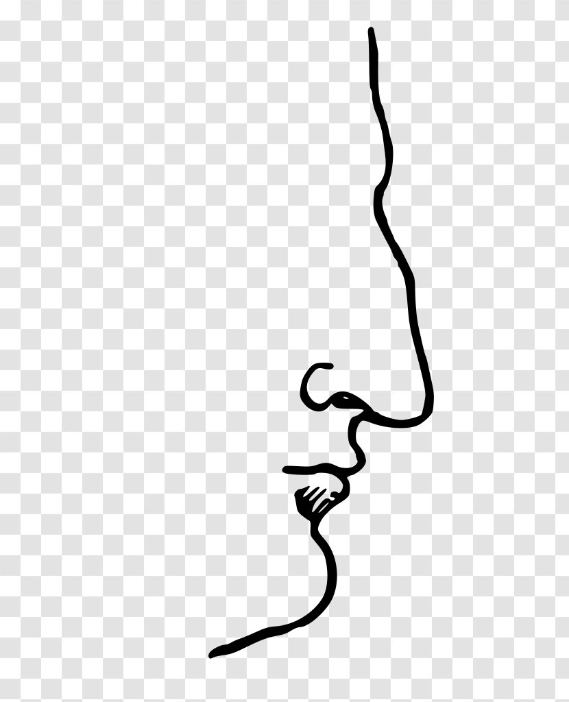 Aquiline Nose Human Eagle Shape - Tree Transparent PNG