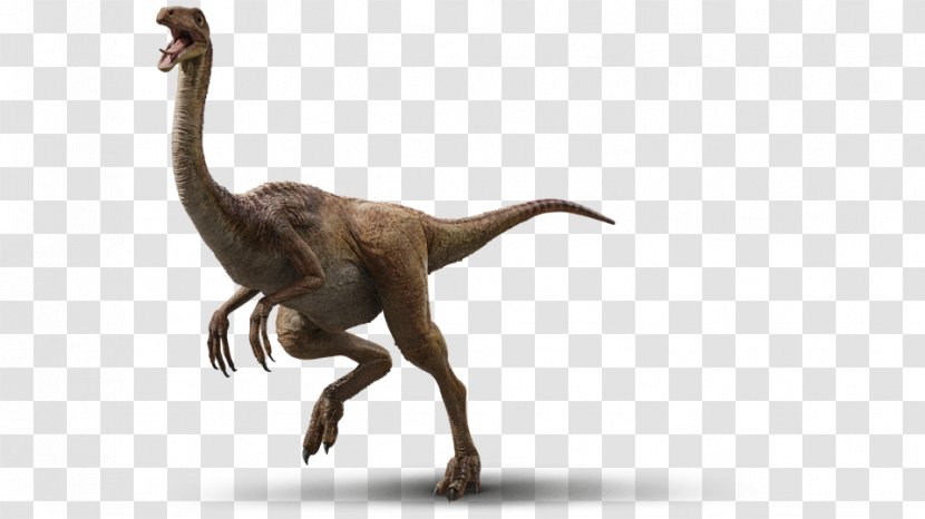 Velociraptor Jurassic Park Gallimimus Dinosaur Isla Nublar - Deviantart - World Fallen Kingdom Baryonyx Transparent PNG