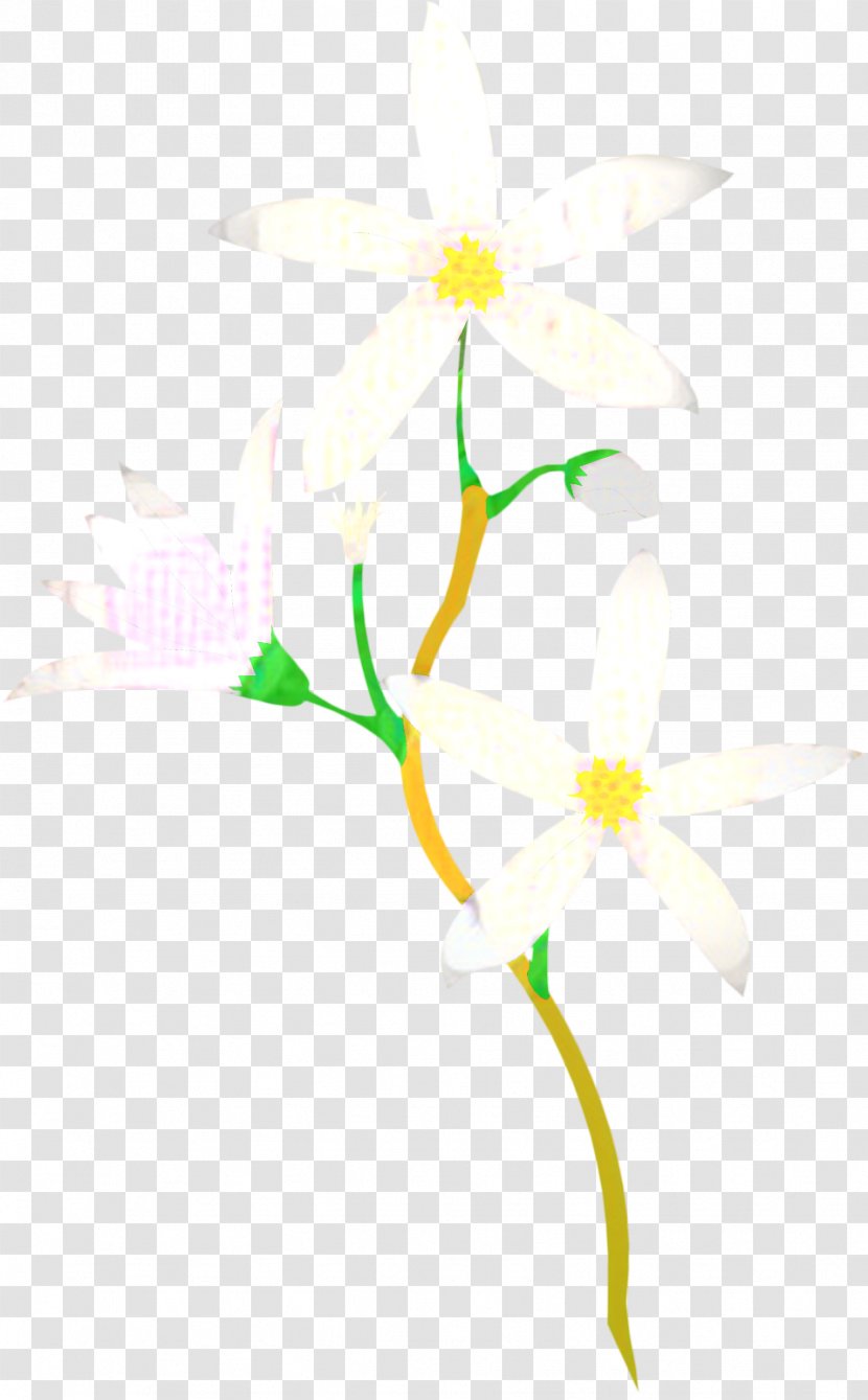 Floral Flower Background - Branch - Petal Wildflower Transparent PNG