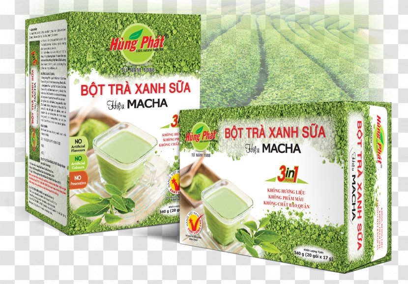 Matcha Green Tea Milk Latte Transparent PNG
