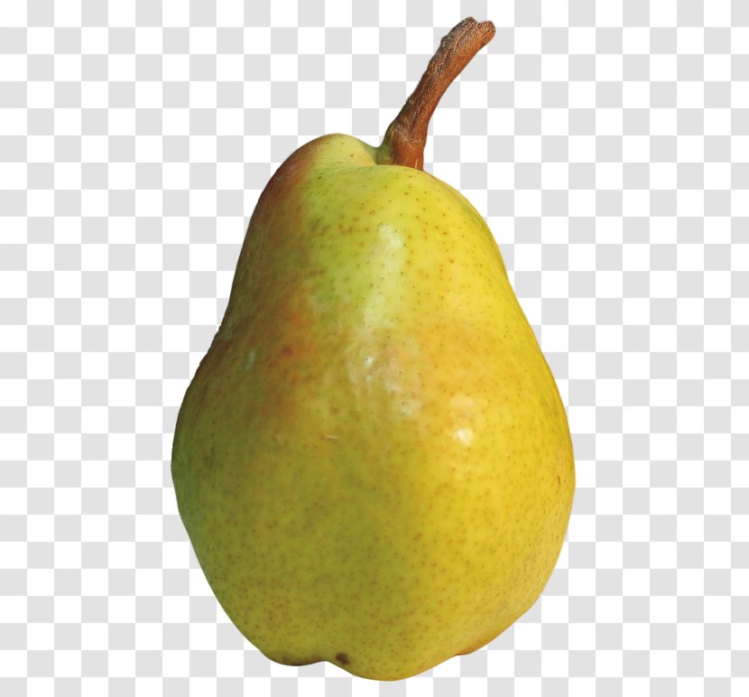 Pear Fruit Clip Art - Image Resolution Transparent PNG