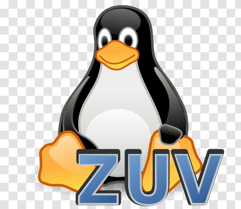 Linux Kernel Operating Systems Tux Debian - Ubuntu - Svg Gallery Transparent PNG