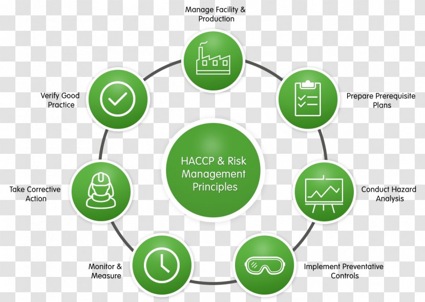 Business Process Improvement Management Model - World Health Day Transparent PNG
