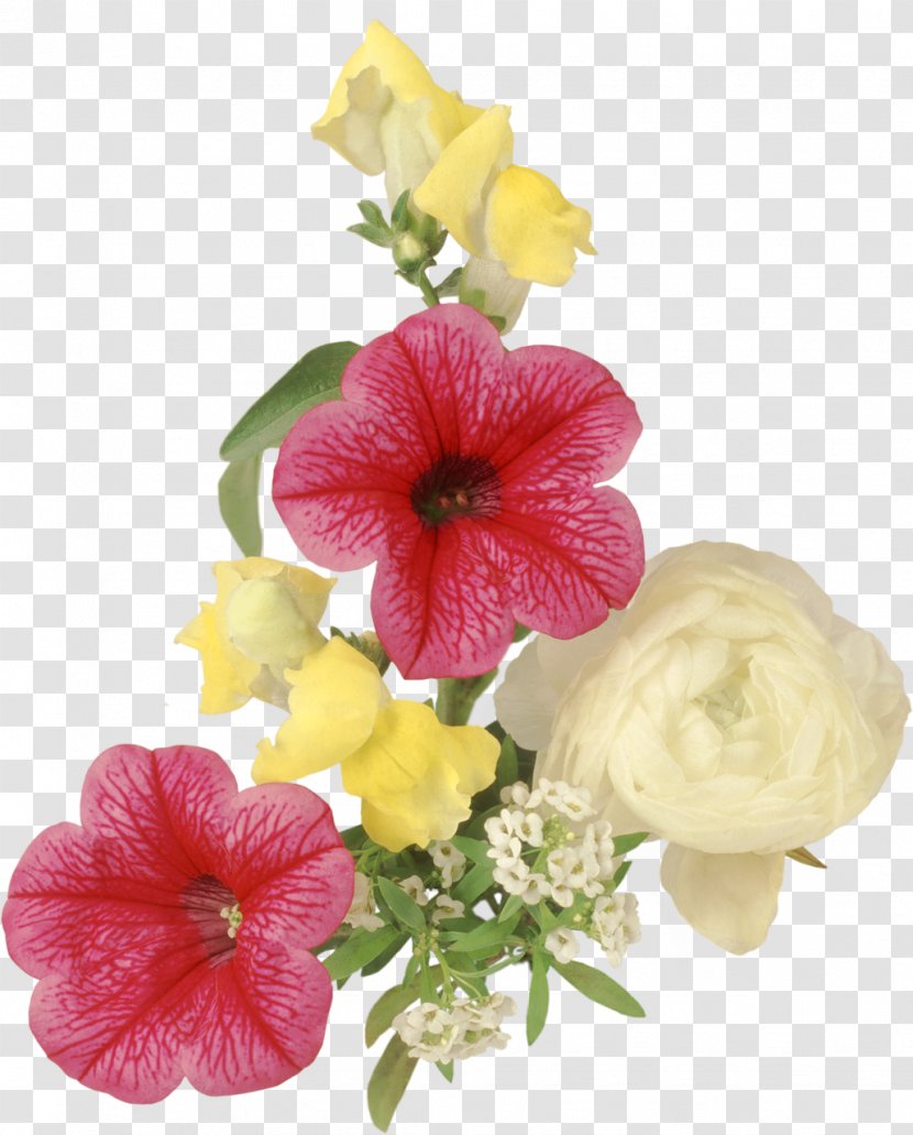 Flower Floral Design Albom - Violet Family - White Transparent PNG