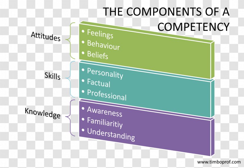 Competence Attitude Skill Aptitude Knowledge - Text - Professional Transparent PNG
