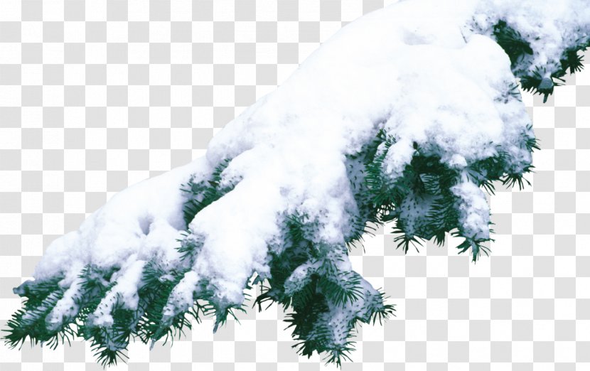 Photography Winter Clip Art - Cartoon - Snow Transparent PNG