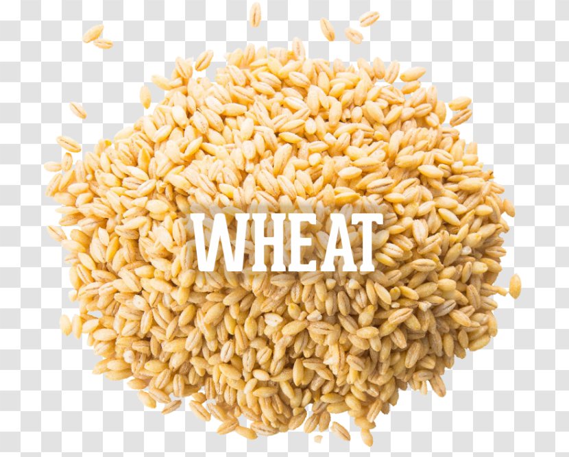 Spelt Vegetarian Cuisine Rice Cereal Whole Grain - Commodity - Wheat Transparent PNG