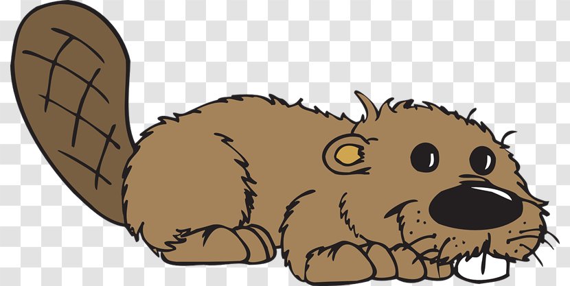 Beaver Cartoon Clip Art - Dog Like Mammal - Brown Cute Transparent PNG