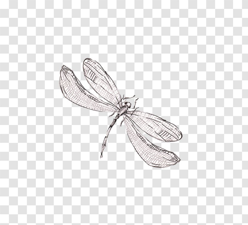 Dragonfly Graphic Design - Painting - Sen Department Of Fresh And Beautiful Hand-painted Transparent PNG