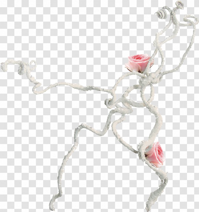 Photography Picture Frames Information Clip Art - Branch - Body Jewelry Transparent PNG
