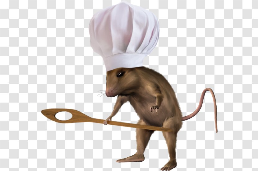 Mouse Snout Neck Transparent PNG