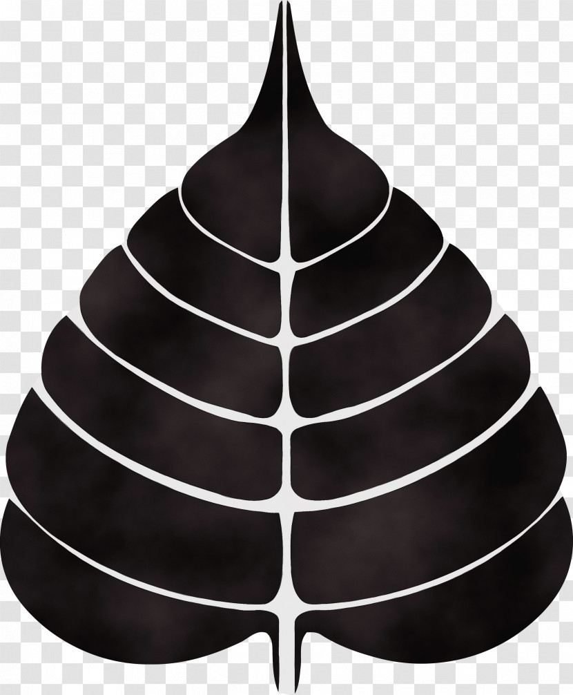 Leaf Tree Black-and-white Plant Cone Transparent PNG
