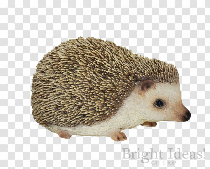 Baby Hedgehogs Figurine Ornament Garden - Hibernation - Hedgehog Transparent PNG