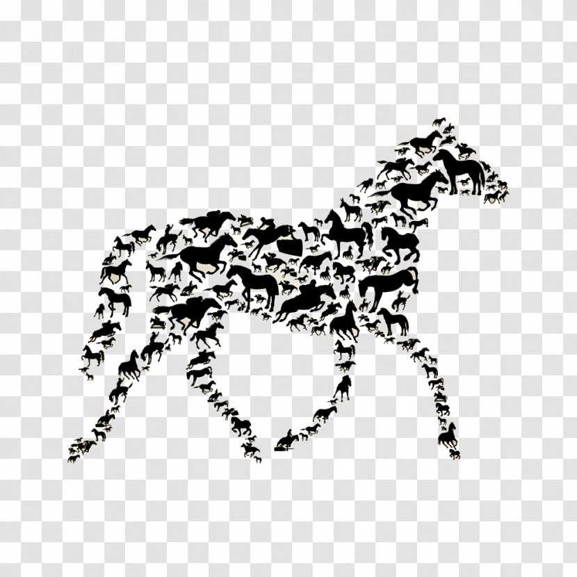 Horse Wall Decal Sticker - Big Cats Transparent PNG