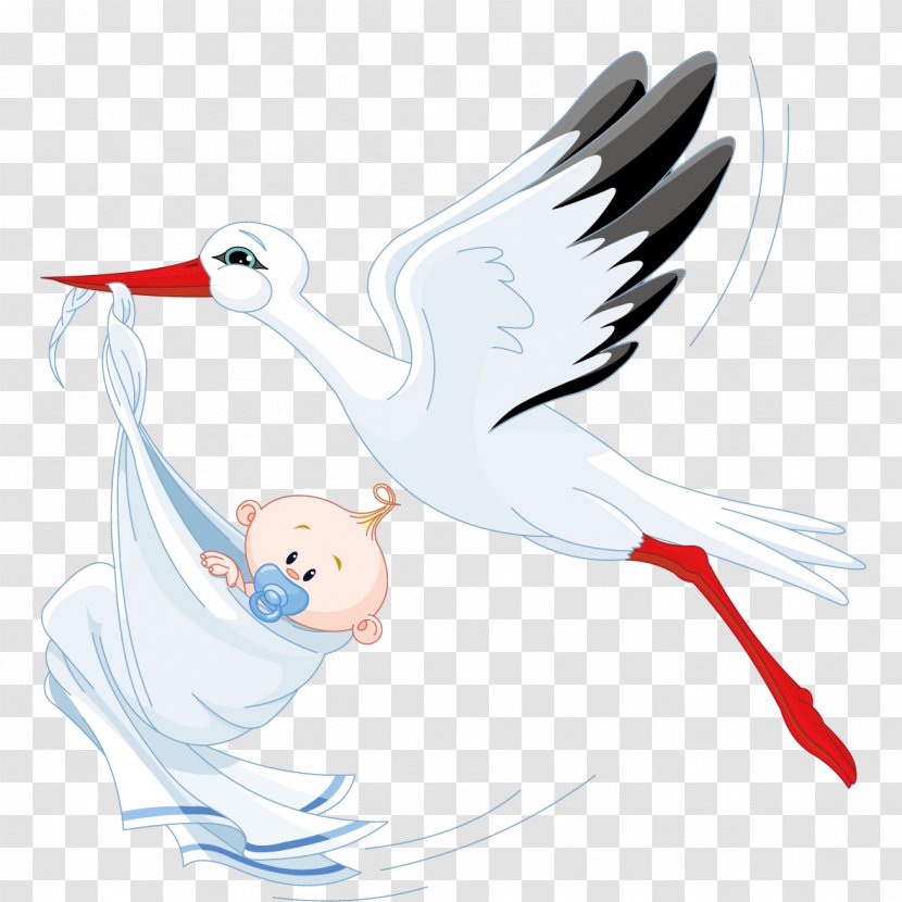 Infant Stork Boy Clip Art - Tree - Diao Bird Child Transparent PNG