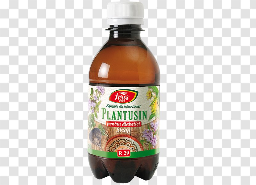 Syrup Fares Honey Extract Sugar - Coneflower - ASTRAGALI RADIX Transparent PNG