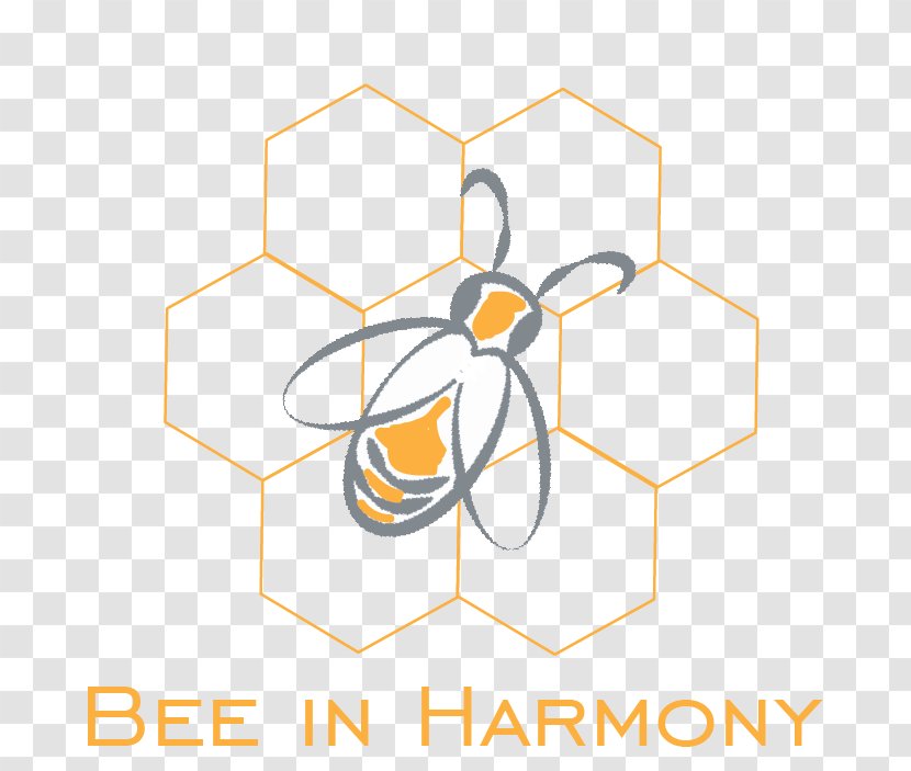 Feeding Bees Beehive Beekeeping Beekeeper - Brand - Bee Transparent PNG