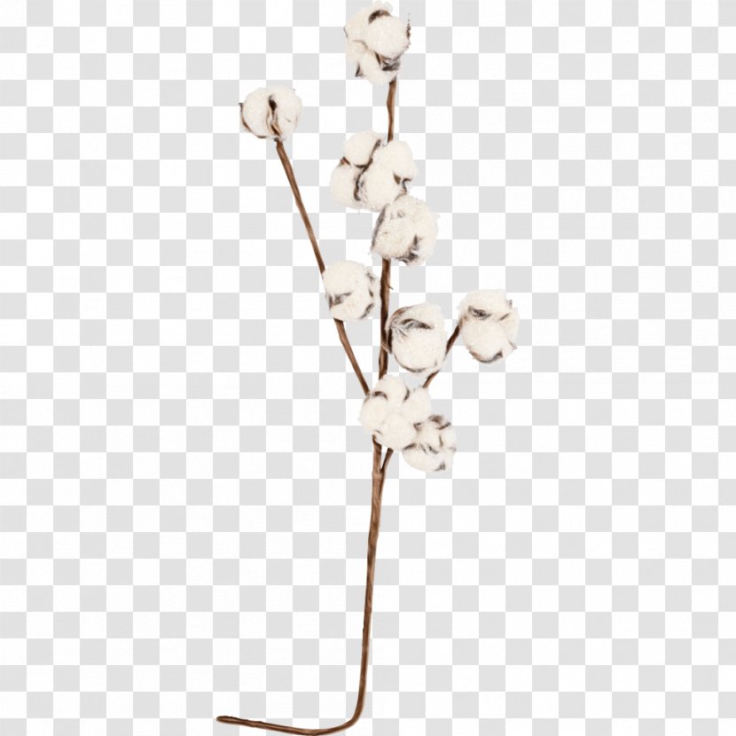 Branch Flower Plant Moth Orchid Twig - Jewellery Blossom Transparent PNG