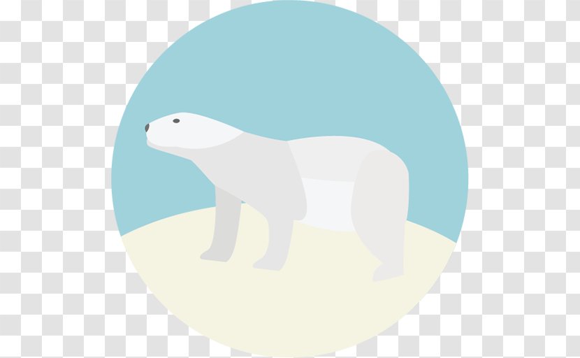 Polar Bear - Carnivoran Transparent PNG