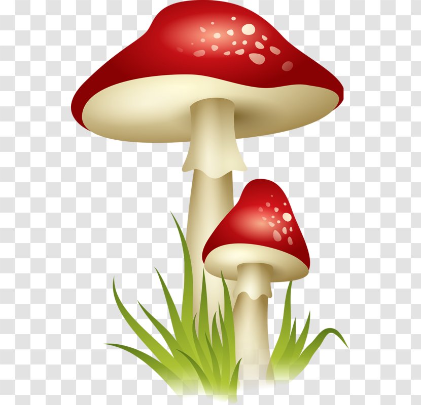 Edible Mushroom Clip Art - Document Transparent PNG