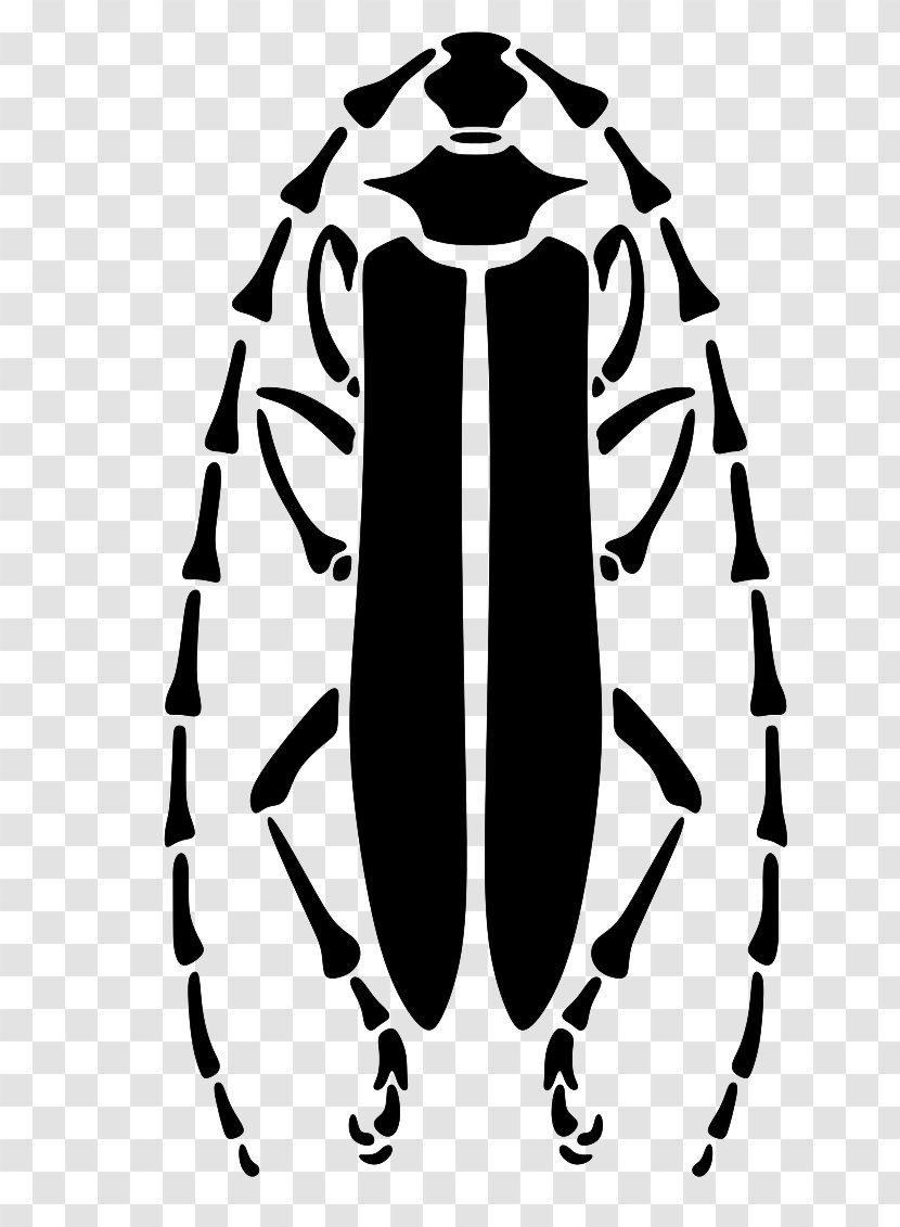 Beetle Stencil Clip Art - White - Longhorn Transparent PNG
